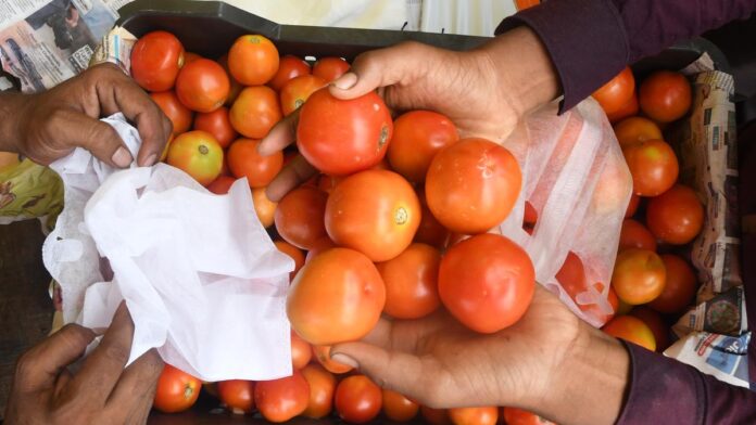 government-reduces-subsidised-tomato-price-to-₹80-a-kg