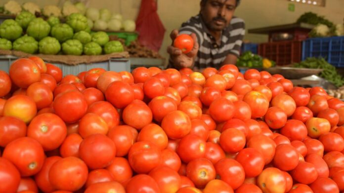 centre-to-buy-tomatoes-from-andhra-pradesh,-karnataka-and-maharashtra-to-sell-in-northern-cities