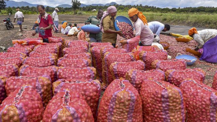 government’s-subsidised-onion-sale-brings-relief,-prices-drop-in-major-cities