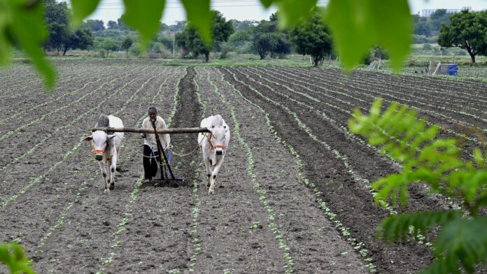 union-budget-2024-25:-big-push-for-agriculture-to-improve-productivity,-revolutionise-agricultural-research union-budget-2024-25:-big-push-for-agriculture-to-improve-productivity,-revolutionise-agricultural-research