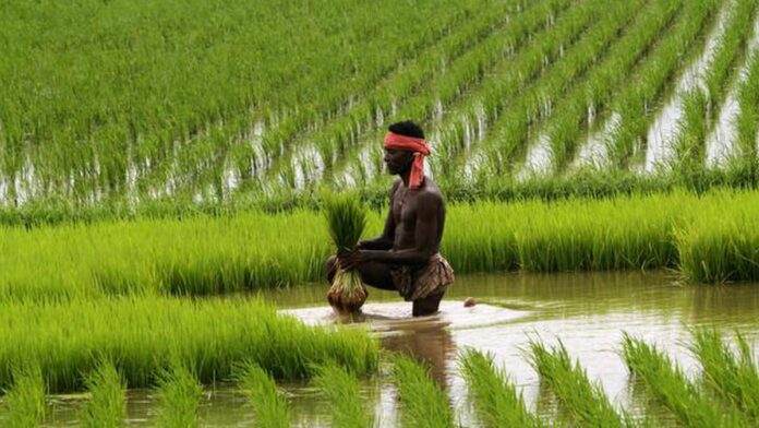 pm-kisan-yojana-|-fm-nirmala-sitharaman-says-11.8-crore-farmers-receive-financial-assistance