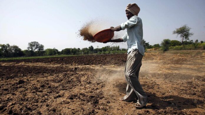 india-may-earmark-$48-bln-for-next-year’s-food,-fertiliser-subsidies