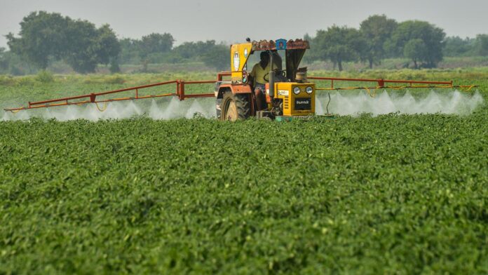 govt-hopeful-of-‘bountiful-harvest’-amid-food-inflation-headwinds