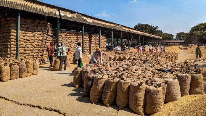 india’s-smaller-rice-crop-paves-way-for-prolonged-export-curbs