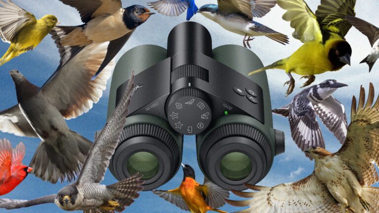 i-went-birding-with-the-world’s-first-ai-powered-binoculars