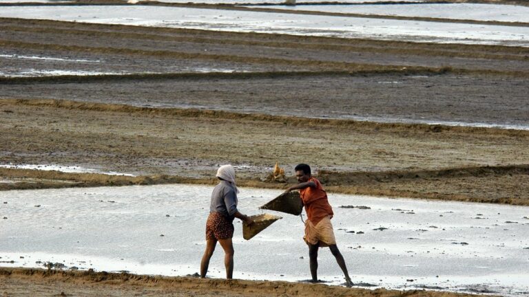 pm’s-principal-secretary-endorses-use-of-hybrid-seeds-in-rice,-pulses,-oilseeds