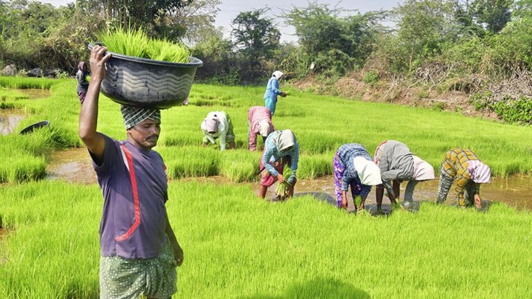 the-way-forward-for-pm-kisan
