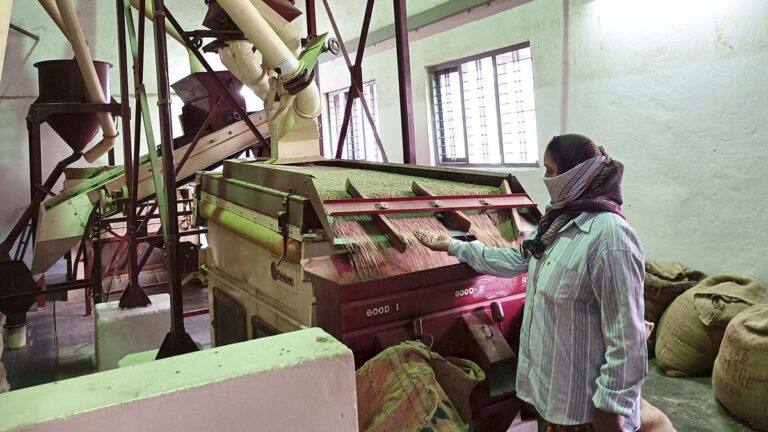big-coffee-planters-in-karnataka-see-relief,-but-small-planters-continue-to-face-labour-shortage