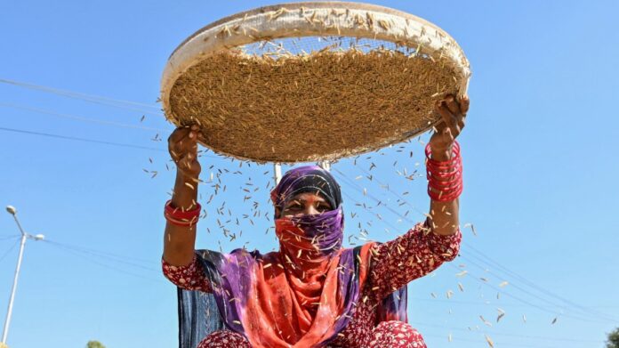 the-winners-and-losers-from-uk-india-trade-agreement