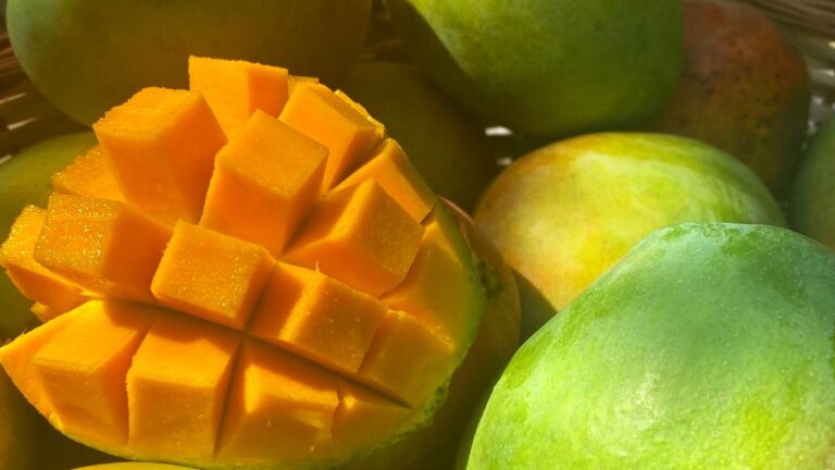 this-year-try-a-native-mango-variety,-like-yaanathalai,-kalapadi-or-nadusalai.-here-is-where-you-can-find-them-in-chennai