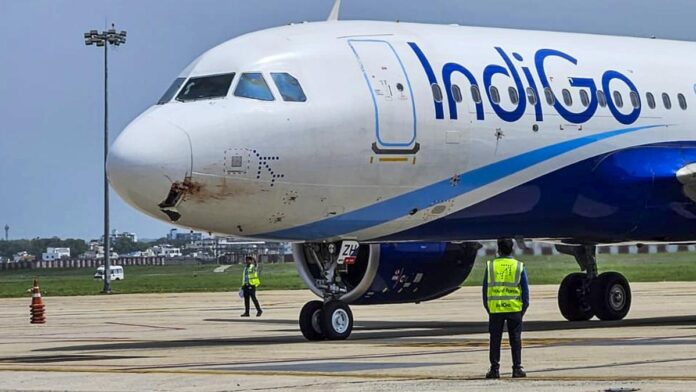 indigo-flight-suffers-bird-hit,-makes-emergency-landing-at-ranchi-airport,-passengers-safe:-official indigo-flight-suffers-bird-hit,-makes-emergency-landing-at-ranchi-airport,-passengers-safe:-official