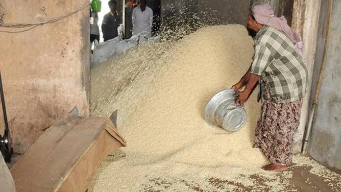 indian-govt-to-hike-prices-of-broken-rice-for-manufacturing-ethanol-from-oct-1