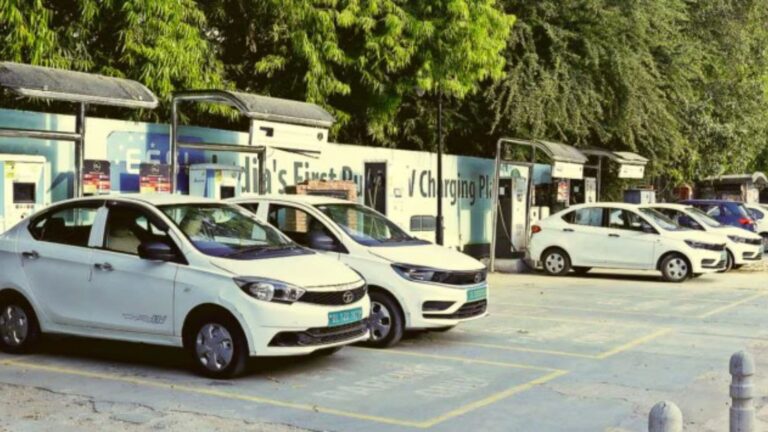 after-china’s-re-magnet-clampdown,-a-rethink-in-india-on-its-ev-policy-push